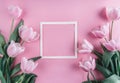 Pink tulips flowers and sheet of paper over light pink background. Saint Valentines Day frame or background. Royalty Free Stock Photo