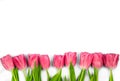 Pink tulips flowers on a white background. Concept - congratulations on international women's day, birthday
