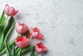 Pink tulips flowers on white background. Waiting for spring. Happy Easter card. Flat lay, top view Royalty Free Stock Photo