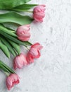 Pink tulips flowers on white stone background. Card for Mothers day, 8 March, Happy Easter. Waiting for spring. Greeting card. Royalty Free Stock Photo
