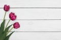 Pink tulips flowers on wooden table. Top view, copy space.