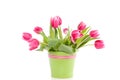 Pink tulips in a green vase Royalty Free Stock Photo