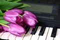 Pink tulips are on the keyboard synthesizer or piano