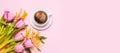 Pink tulips and mimosa flowers with cup of coffee on pink background Royalty Free Stock Photo