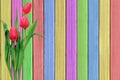 Pink tulips over shabby paint wooden table Royalty Free Stock Photo