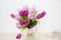 Pink tulips Royalty Free Stock Photo