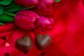 Pink tulips on red background. and chocolate heart shaped