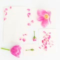 Pink tulips, roses and vintage paper cards isolated on white background. Flat lay, Top view.