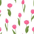 Pink tulips seamless pattern. Spring bright flowers with stems and leaves on a white background. Royalty Free Stock Photo