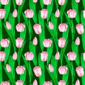 Pink tulips seamless pattern. Watercolor vintage illustration. Isolated on a dark green background.