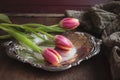 Pink Tulips on Silver Tray Royalty Free Stock Photo