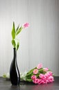 Pink tulips still life Royalty Free Stock Photo