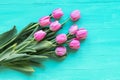 Pink tulips on a turquoise wooden table. Festive background, top view, flat lay, copy space Royalty Free Stock Photo