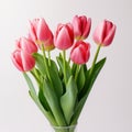 Colorized Pink Tulips In Vase On White Background