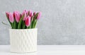 Pink tulips in white ceramic vase, grey stone background Royalty Free Stock Photo