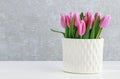 Pink tulips in white ceramic vase, grey stone background Royalty Free Stock Photo