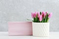 Pink tulips in white ceramic vase, grey stone background Royalty Free Stock Photo