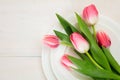 Pink tulips on white plates, white wooden background. Top view Royalty Free Stock Photo