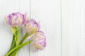 Pink tulips on white shabby wooden boards Royalty Free Stock Photo