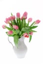 Pink tulips in a white vase