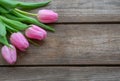 Pink Tulips on wooden background