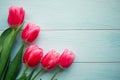 Pink tulips on wooden background. Flat lay, top view, copy space. Royalty Free Stock Photo