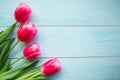 Pink tulips on wooden background. Flat lay, top view, copy space. Royalty Free Stock Photo