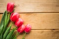 Pink tulips on wooden background. Flat lay, top view, copy space. Royalty Free Stock Photo