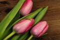 Pink tulips on a wooden background. Mother`s Day. Spring flowers Royalty Free Stock Photo