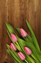 Pink tulips on a wooden background. Mother`s Day. Spring flowers Royalty Free Stock Photo