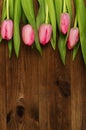 Pink tulips on a wooden background. Mother`s Day. Spring flowers Royalty Free Stock Photo