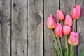 Pink Tulips on Wooden Planks Royalty Free Stock Photo