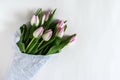 Pink tulips wrapped in white paper