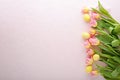 Pink tulips and yellow Easter eggs on pink background Royalty Free Stock Photo
