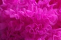 Pink tulle Royalty Free Stock Photo