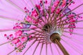 Pink umbrella. Royalty Free Stock Photo