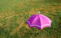 Pink umbrella on green grass