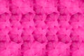 Pink umbrella pattern arrangement. Top view creative umbrella background. Nobody. Classic brolly wallpaper Royalty Free Stock Photo