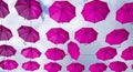 Pink Umbrellas