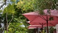 Pink umbrellas at a sidewalk cafe