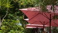 Pink umbrellas at a sidewalk cafe