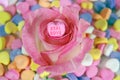 Pink Valentine candy heart in rose