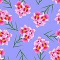 Pink Vanda Miss Joaquim Orchid on Purple Background. Singapore National Flower. Vector Illustration