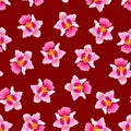 Pink Vanda Miss Joaquim Orchid on Red Background. Singapore National Flower. Vector Illustration