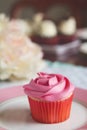 Pink vanilla rose cupcake on plate with text space Royalty Free Stock Photo