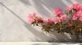 Bright Pink Flowers: Realistic Portrayal Of Light And Shadow
