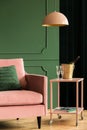 Pink velvet chair in glamour living room