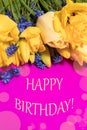 Pink vertical banner with the inscription Happy Birthday. On a background of yellow flowers tulips. Royalty Free Stock Photo