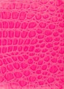 Pink vertical texture background. Reptile shiny textile, fabric design. Pink patent bright crocodile leather Royalty Free Stock Photo