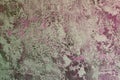 Pink very much rough panel cover texture - cute abstract photo background
